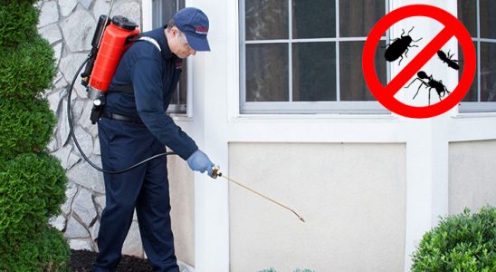 Kofçaz Kemirgen İlaçlama böcek ilaçlama ve haşere kontrolü — ilaclama-tr.com